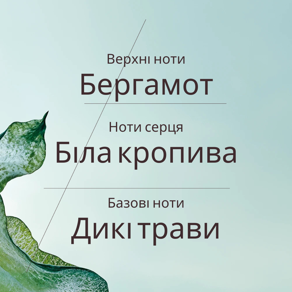 Парфумована вода БІЛА КРОПИВА (HERBAE par L’OCCITANE)
