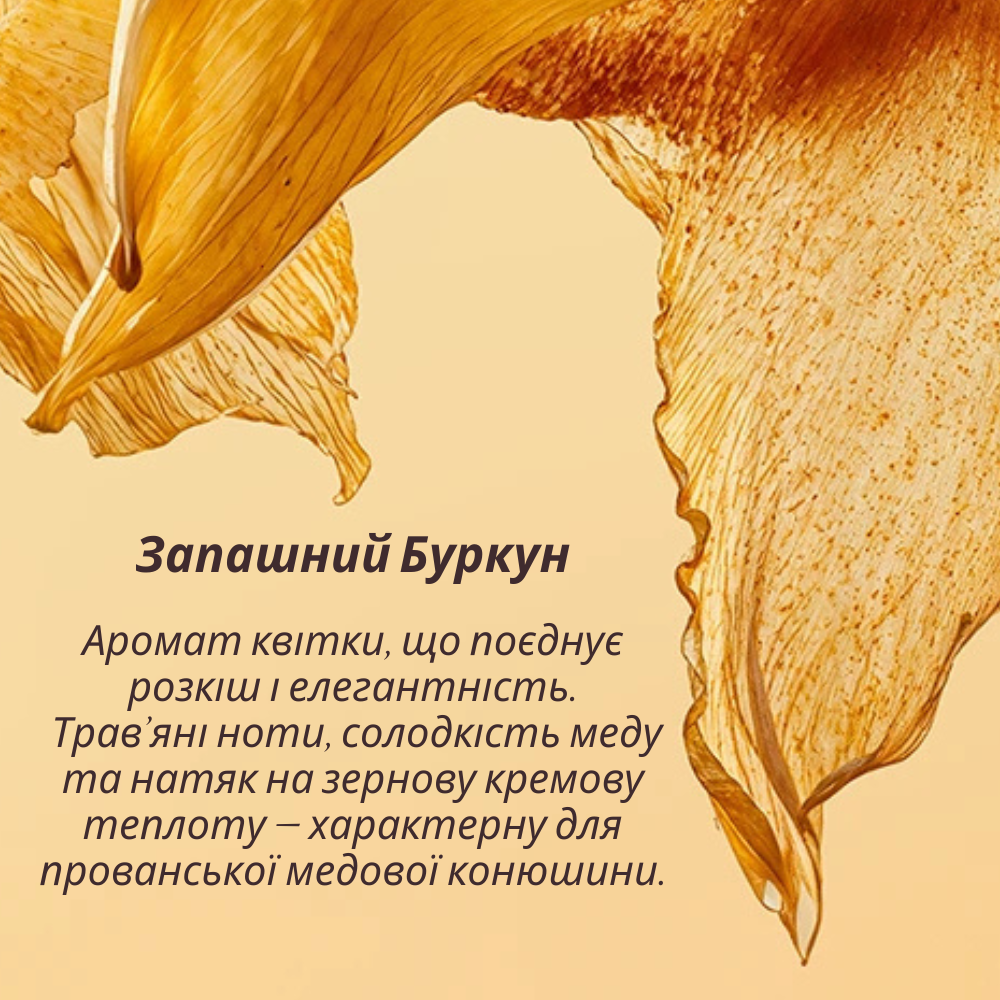 Парфумована вода ЗАПАШНИЙ БУРКУН Колекція Забуті Квіти