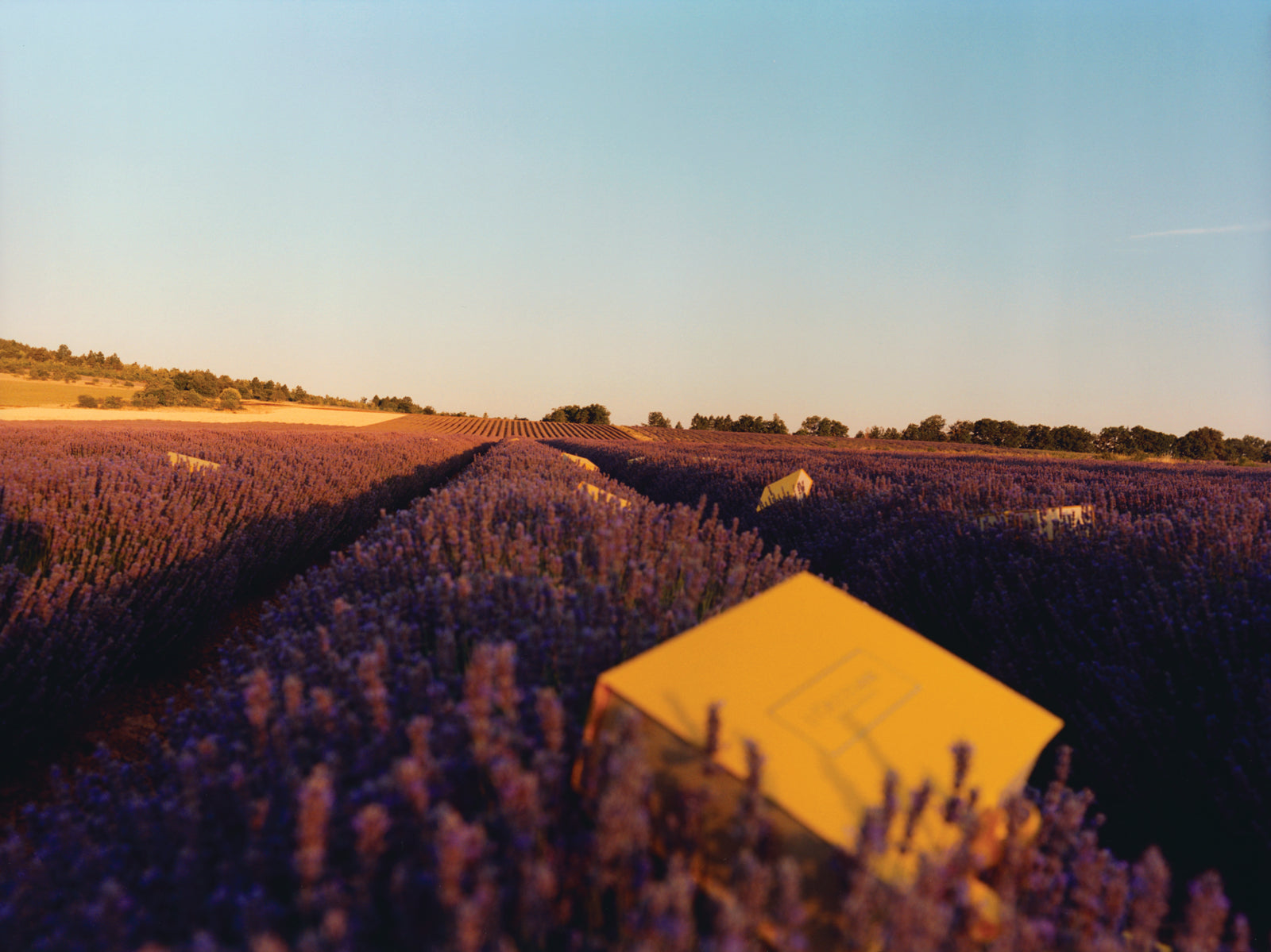 Всі продукти | L'OCCITANE en Provence | – L'Occitane Ukraine
