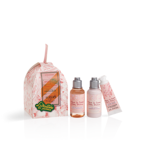 Прованський Різдвяний набір ВИШНЕВИЙ ЦВІТ