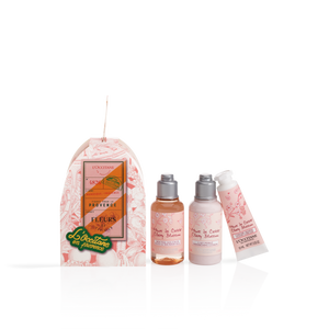 Прованський Різдвяний набір ВИШНЕВИЙ ЦВІТ