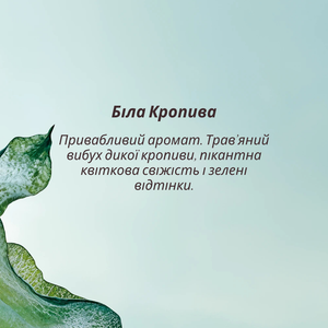Парфумована вода БІЛА КРОПИВА (HERBAE par L’OCCITANE)