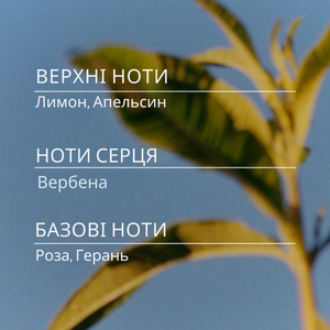 Туалетна вода ВЕРБЕНА