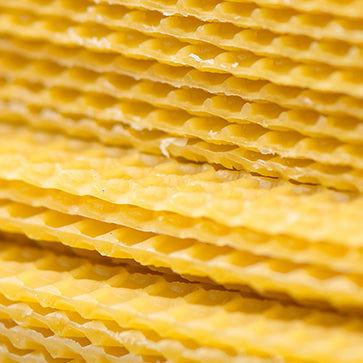 Featured Ingredient - L'Occitane