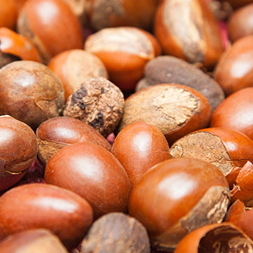 Featured Ingredient - L'Occitane